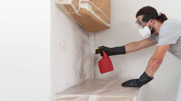 Professional Mold Cleanup technician working in Little Elm, TX