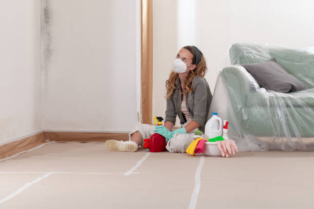 Reliable Mold Cleanup contractor in Little Elm, TX by WQB Mold Removal